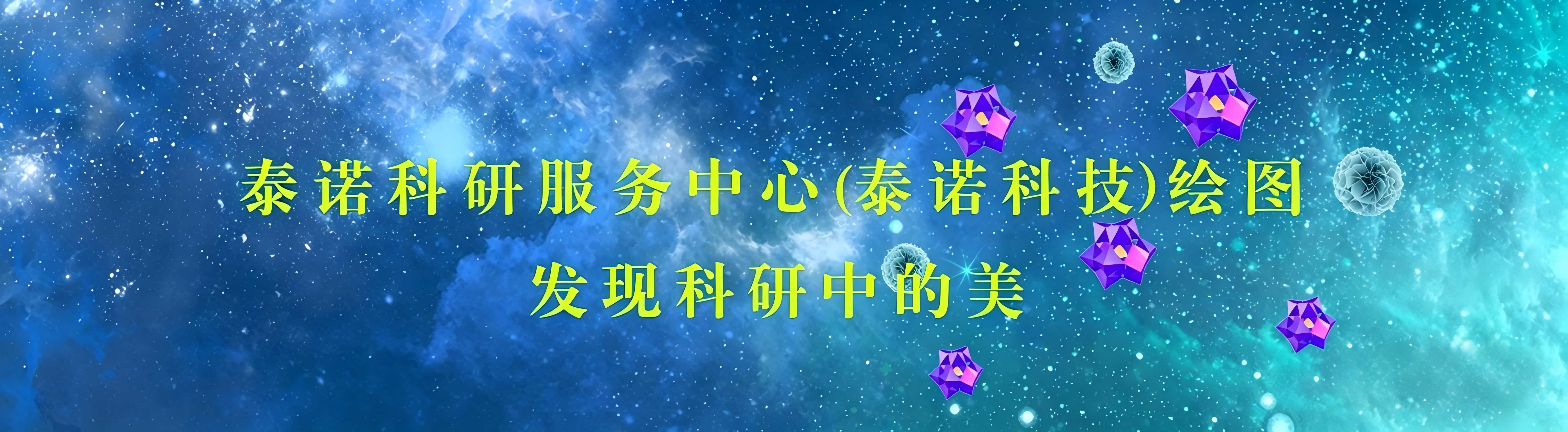 通栏图片